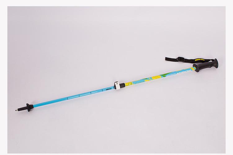   宁海安得文体用品是一家专业生产登山杖,滑雪杖